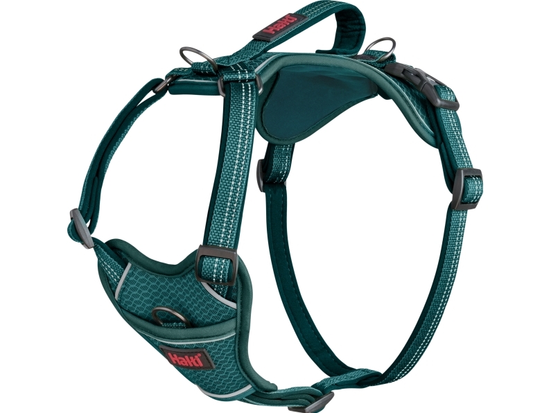 Halti Anatomy sele Teal Small | Sällskapsdjur - Hund - Hundseler | GameStuff