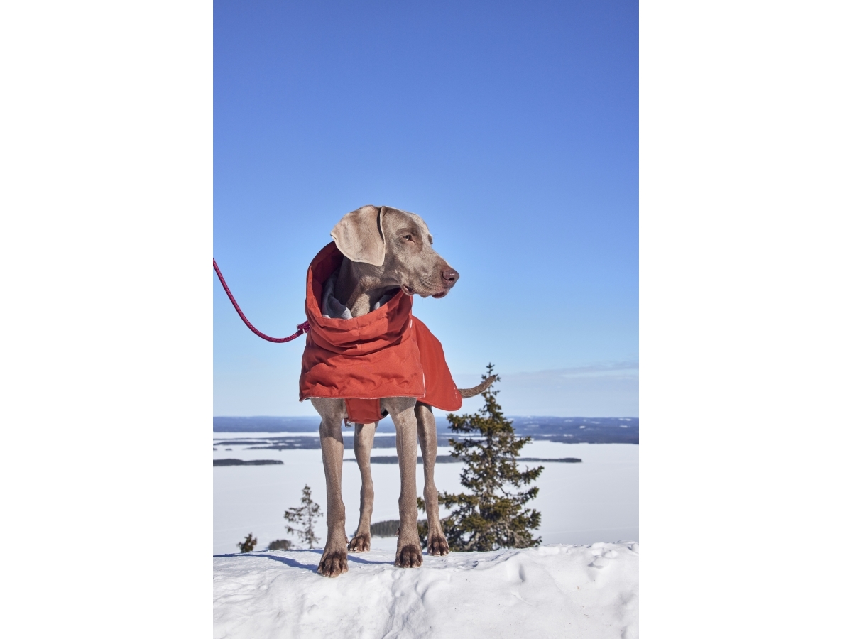 Hurtta Hurtta Extreme Warmer III ECO, cinnamon 30 | Sällskapsdjur  >  Hund  >  Jacka - kappa - regnkappa - stickat plagg | GameStuff