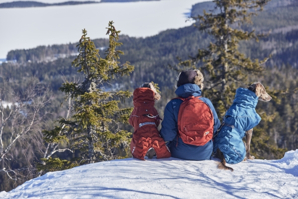 Alternativ bild 0 för Hurtta Extreme Warmer III ECO Hundjacka Ljusblå (30)
