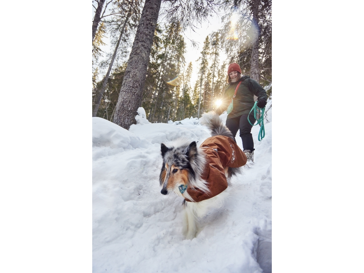 Hurtta Monsoon coat II ECO, desert 50 | Sällskapsdjur  >  Hund  >  Jacka - kappa - regnkappa - stickat plagg | GameStuff