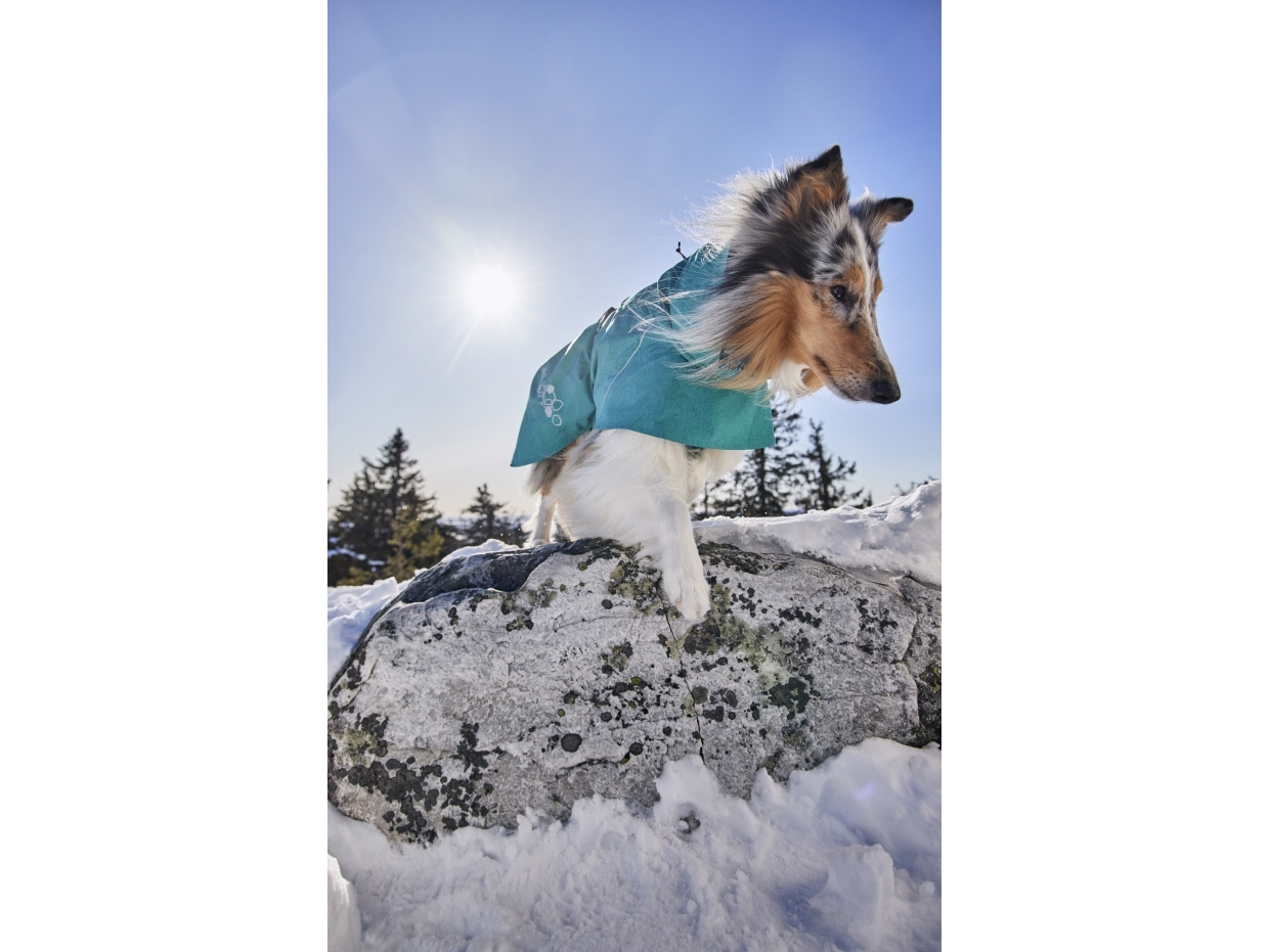 Hurtta Monsoon coat II ECO, peacock 45 | Sällskapsdjur  >  Hund  >  Jacka - kappa - regnkappa - stickat plagg | GameStuff