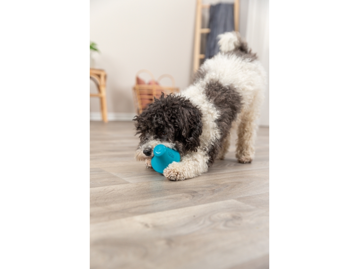 Trixie Snack-spinner, natural rubber, 12 cm, petrol | Djurmärken - Tillbehör - Trixie | GameStuff