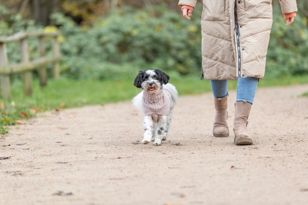 Norwood, pullover, til hund, r�, M: 45 cm