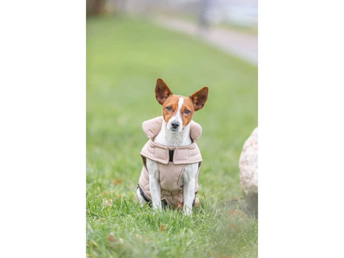 Trixie Lesmont winter coat, XXS: 21 cm, blush | Sällskapsdjur  >  Hund  >  Jacka - kappa - regnkappa - stickat plagg | GameStuff