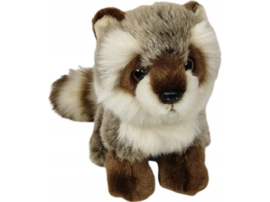 Sitting Raccoon 18Cm