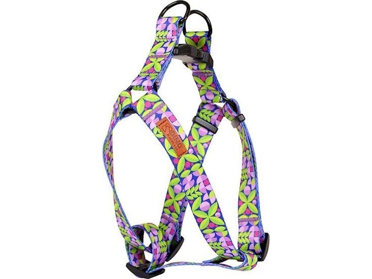 Dino Dino Harness Adjustable Tape Ivo 20Mm Leaf 40-60Cm Long