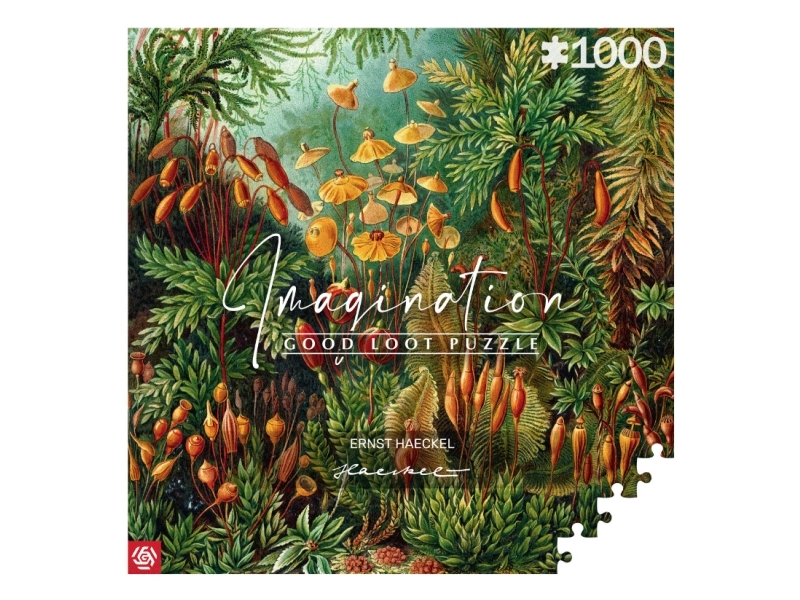 Cenega Imagination, 1000 Stück(E), Kunst
