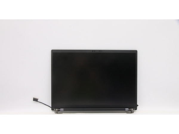 Lenovo Panther 1 Fru Grp 14.0 Wuxga