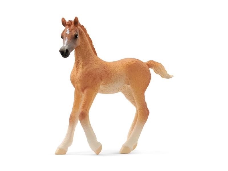 Schleich Horse Club Araber Fohlen, 5 Jahr(E), Horses, Braun, Kunststoff