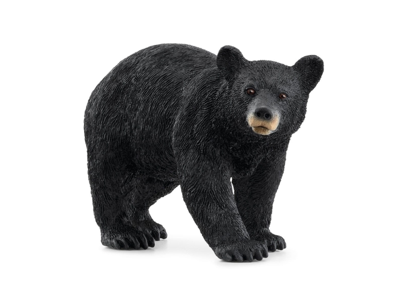 Schleich Amerikanischer Schwarzbär