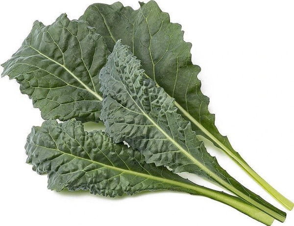 Click &amp Grow Smart Refill Italiensk grönkål 3st | Smarta hem - Smart Klimatkontroll - Smart Garden | GameStuff