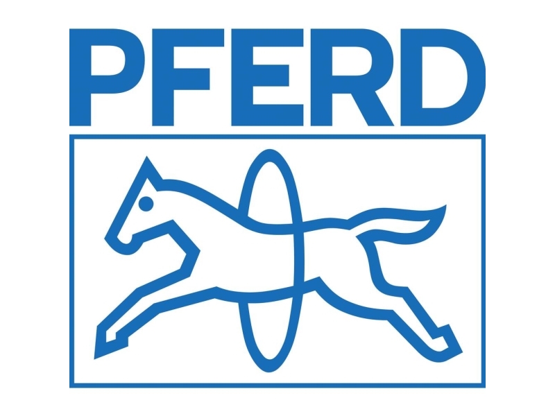 Pferd 33400035