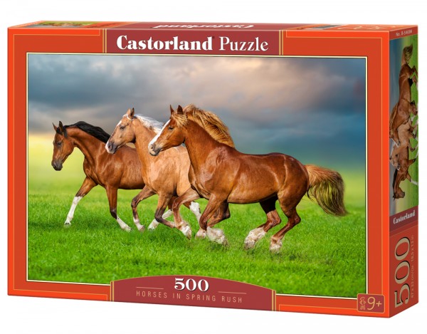 Castor 500Pcs Pferde Frühlingsbinsen