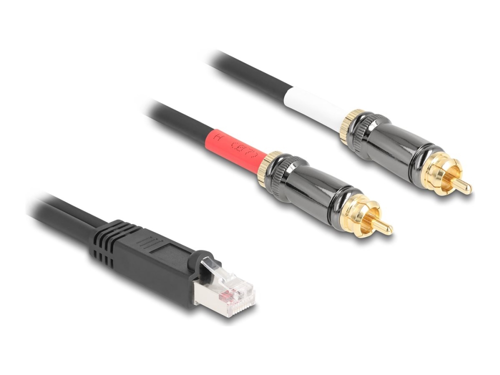 Delock - Lyd Adapter - Rj-45 Han Til Rca Han - 2 M - Sort