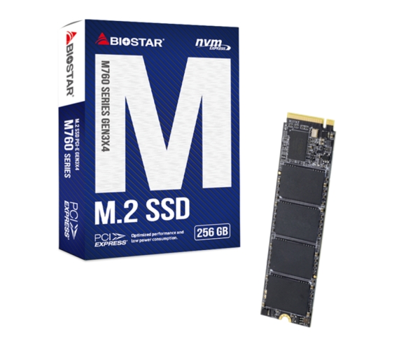 Ssd Biostar M760 256Gb