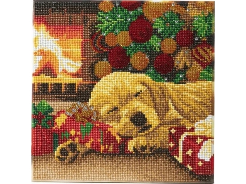 Degen Art *Cristol Art. Gemälde Schlafender Labrador 30X30 Cm