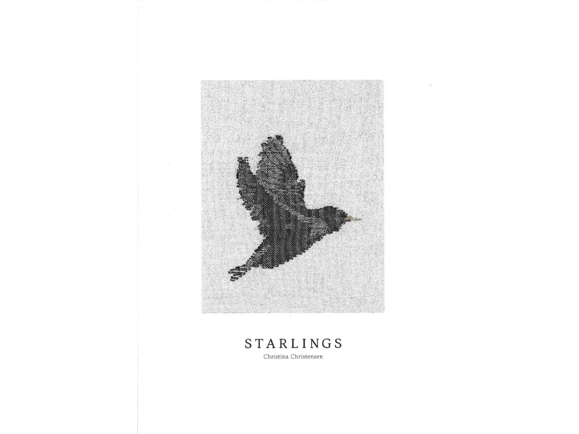 Starlings | Christina Christensen