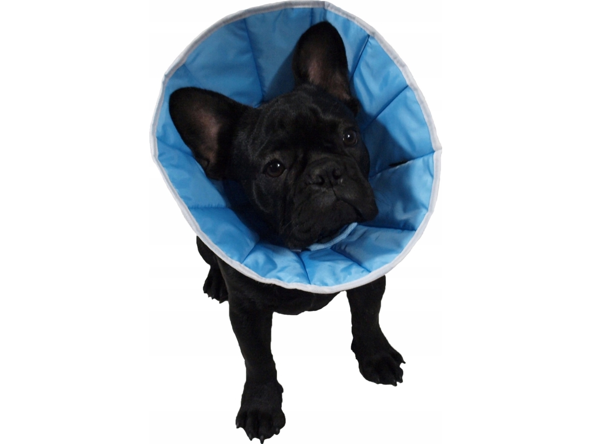 Grande Finale postoperatiivinen kaulus XXXL 50-60cm