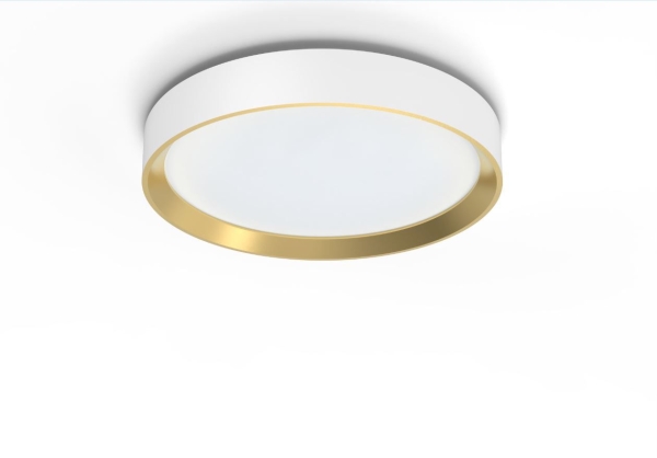 Philips Taklampa 24 W Led Ip20 Vit