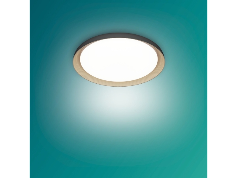 Philips Loftslampe 10 W Led 1850 Lm Ip20 Sort Hvid