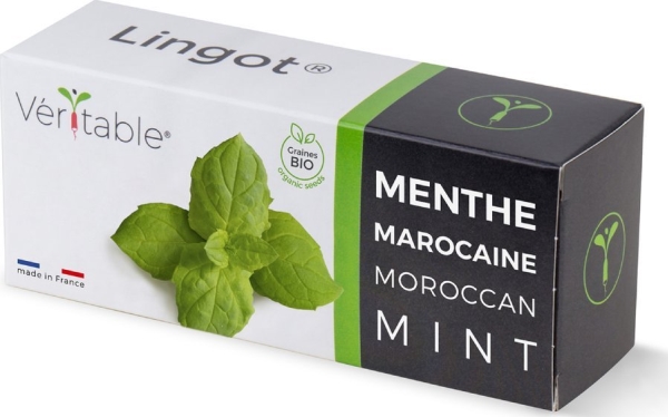 Veritable Véritable Lingot Marokańska mėtų spalvos - BIO*