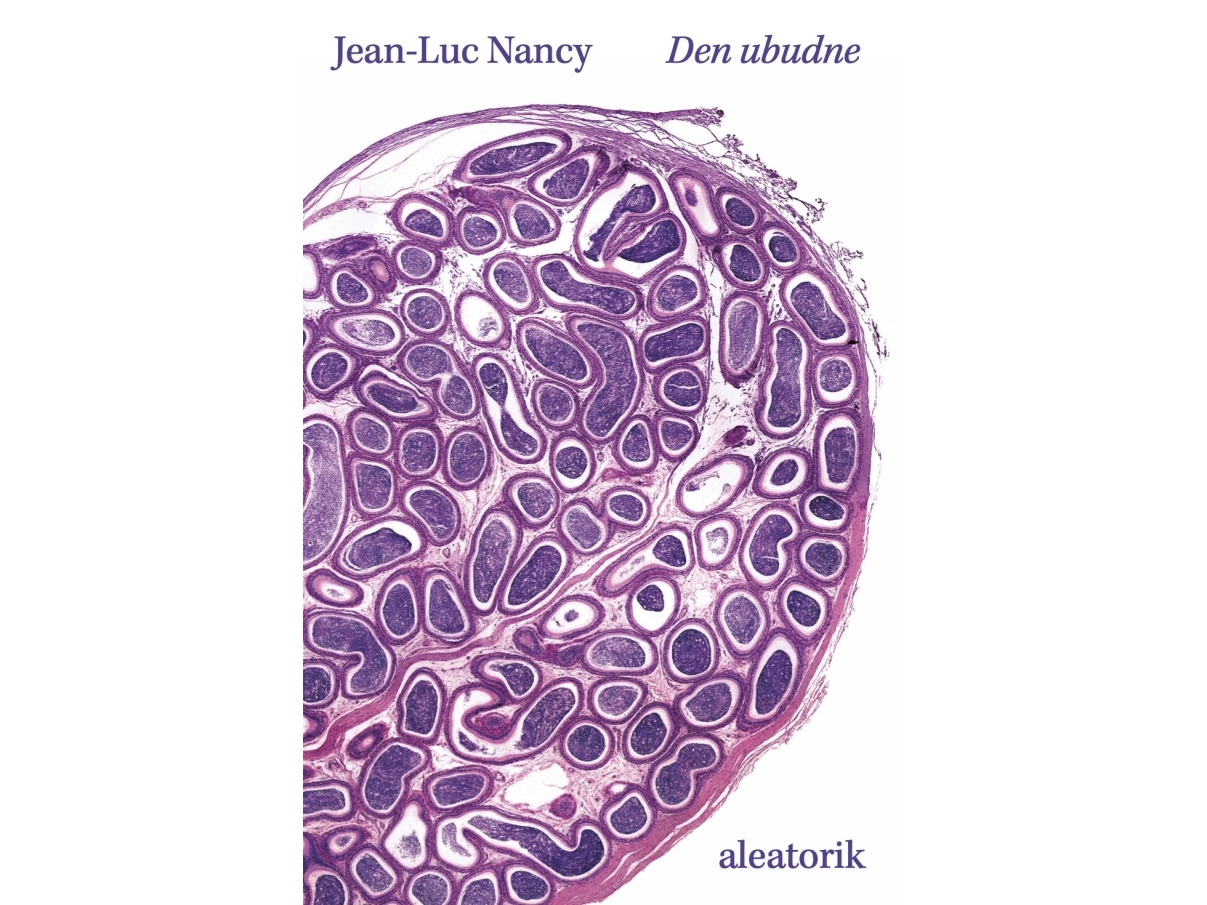 Den Ubudne | Jean-Luc Nancy