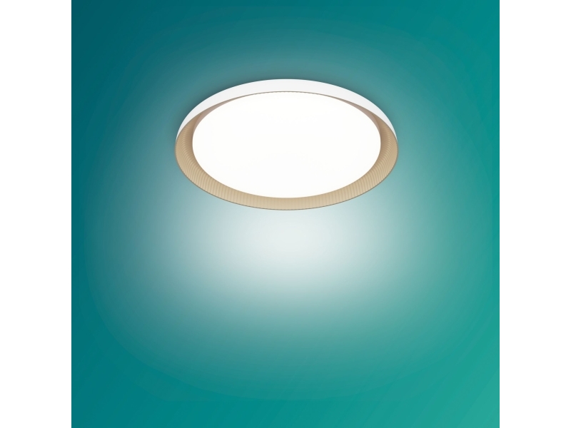 Philips Loftslampe 10 W Led 1850 Lm Ip20 Hvid