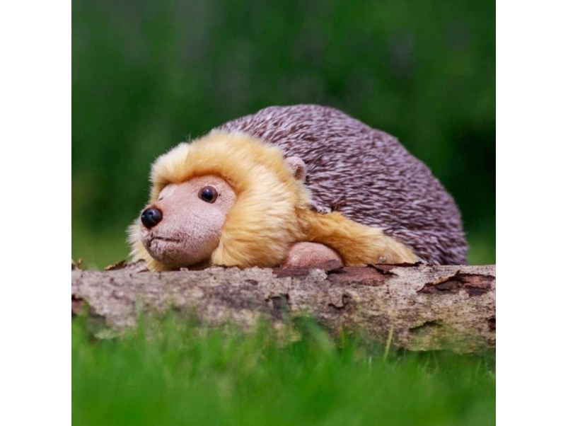 Plush Hedgehog