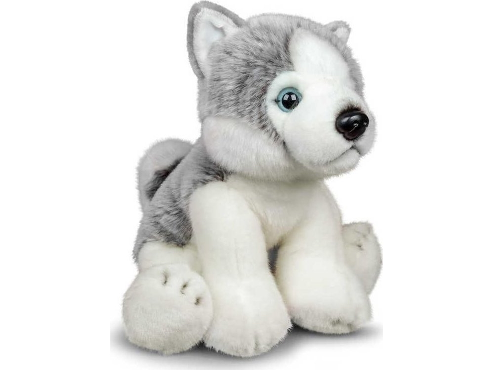 Plüsch-Husky