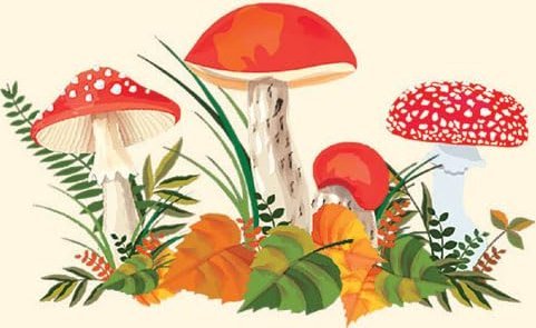 Stationery Mushrooms | Papper & Emballage - Kalendrar & Anteckningsböcker - Anteckningsböcker | GameStuff
