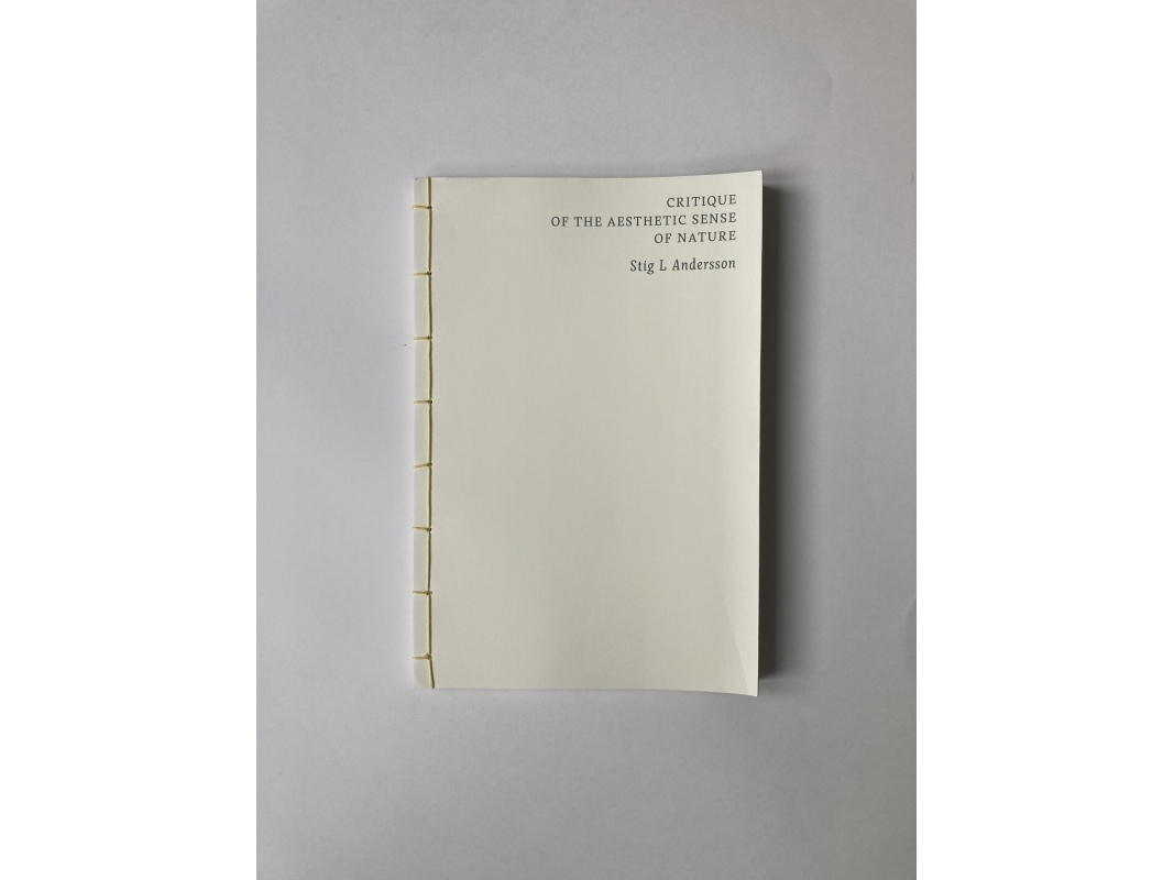 Critique Of The Aesthetic Sense Of Nature | Stig L Andersson | Sprache: Dänish