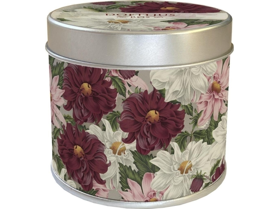 Duftende Dahlia-Viollys - Rosenduft