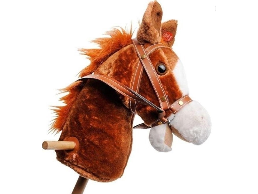 Hobby Horse With A Voice