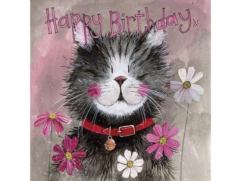 Kortspil Ac735 Birthday Cat Whiskers