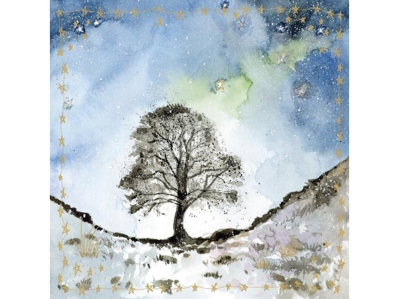 Carnet S561 Träd | Papper & Emballage - Kuvert & påsar - Övriga | GameStuff