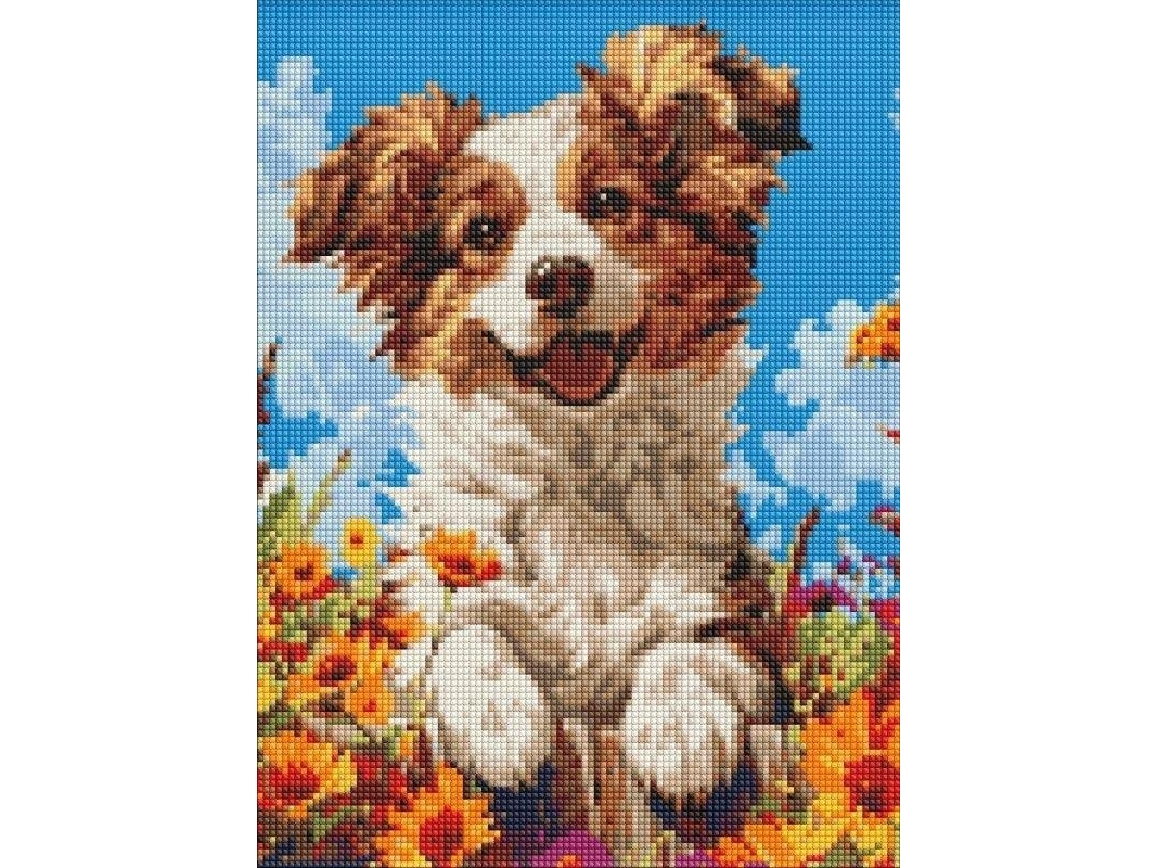 Diamantmålning utan ram - Hund i blommor 30x40 | N - A | GameStuff