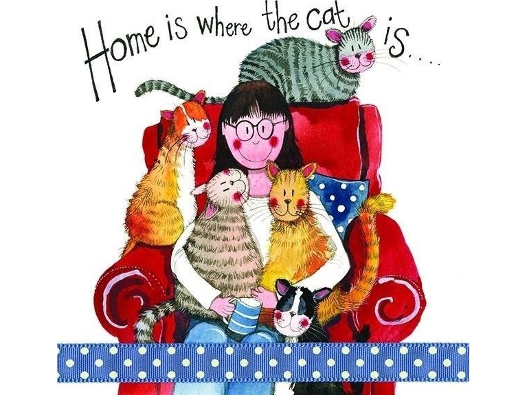 Carnet S180 Ihr Zuhause, Wo Ihre Katze Ist