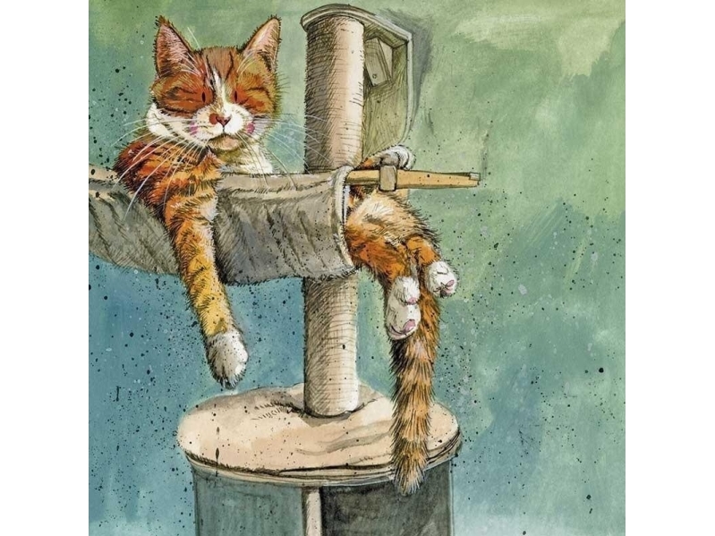 Gavekort AC811 kattehus til kradsestolpe