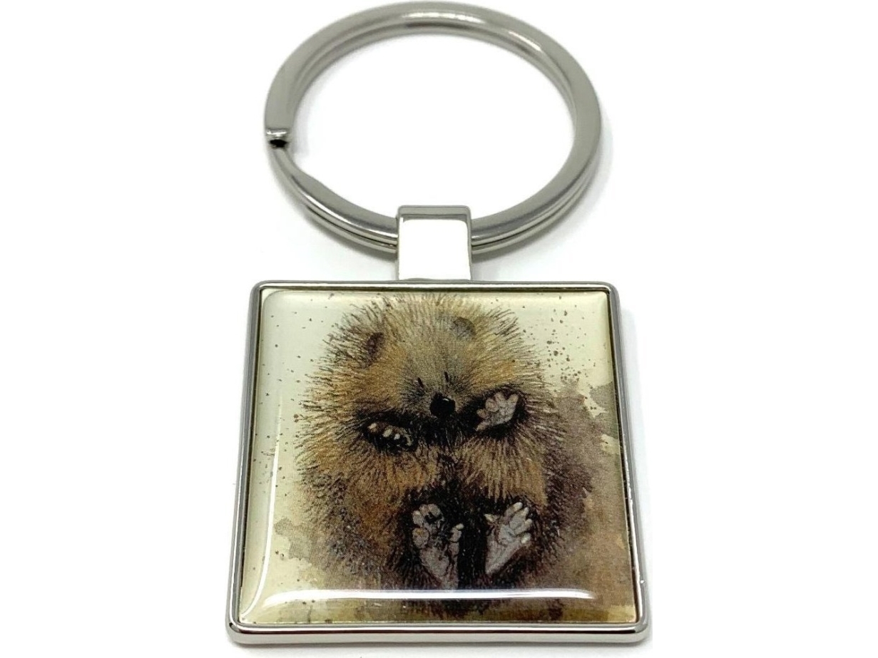 Schlüsselanhänger K18 Hedgehog Auf Der Rückseite