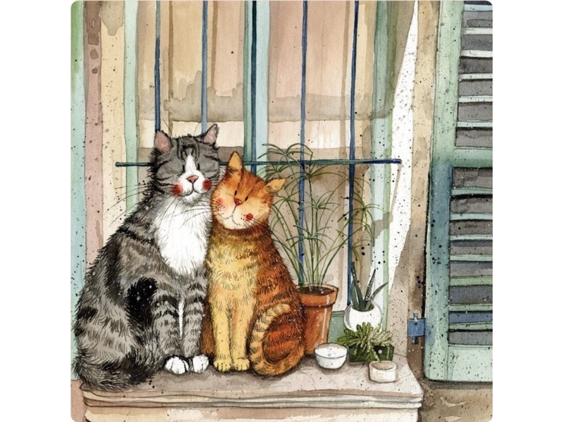 Magnet Fm226 Katzen Auf Der Fensterbank