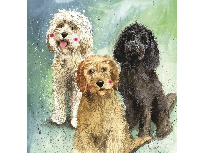 Ac745 Cockapoo Hunde Kort