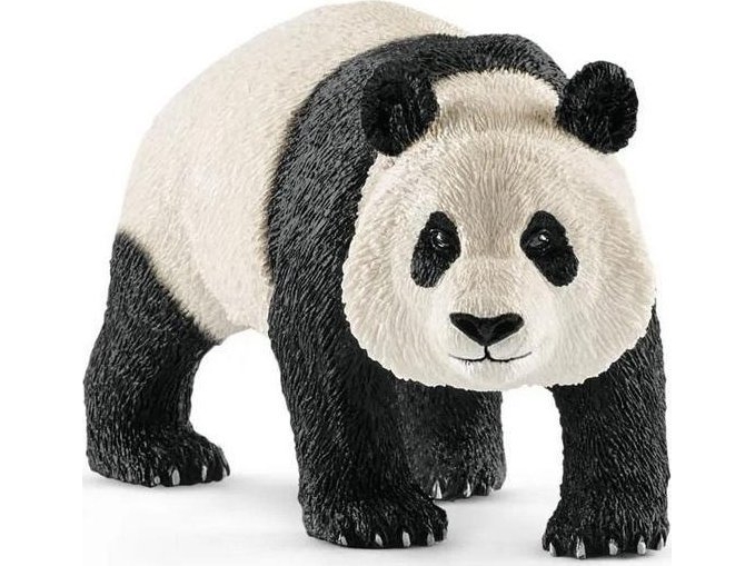Dua Panda