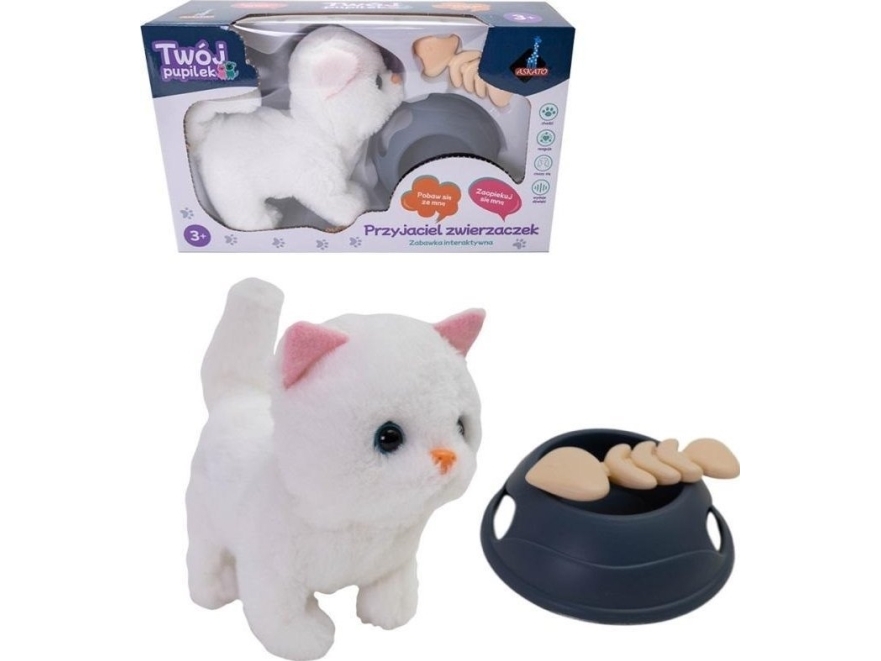 Battery Operated Cat With Accessories