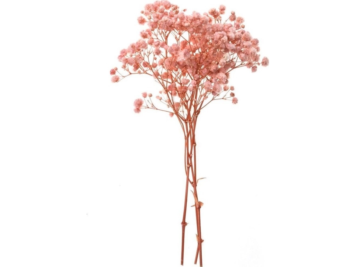 Gipsfigur 4 grene ca. 20 cm lys rosa