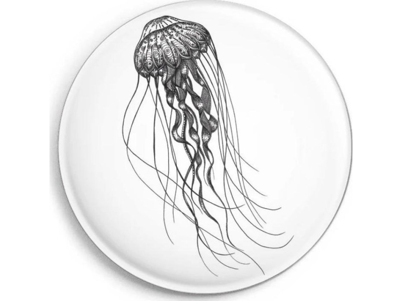 Magnes Medusa