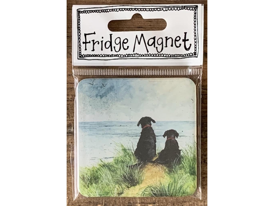 Magnes Fm222 Psy Na Wydmach