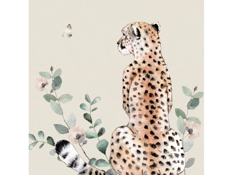 Clear Creation kort Swarovski firkant CL4709 Gepard