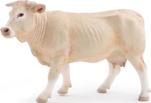 Ko Blonde D'aquitaine
