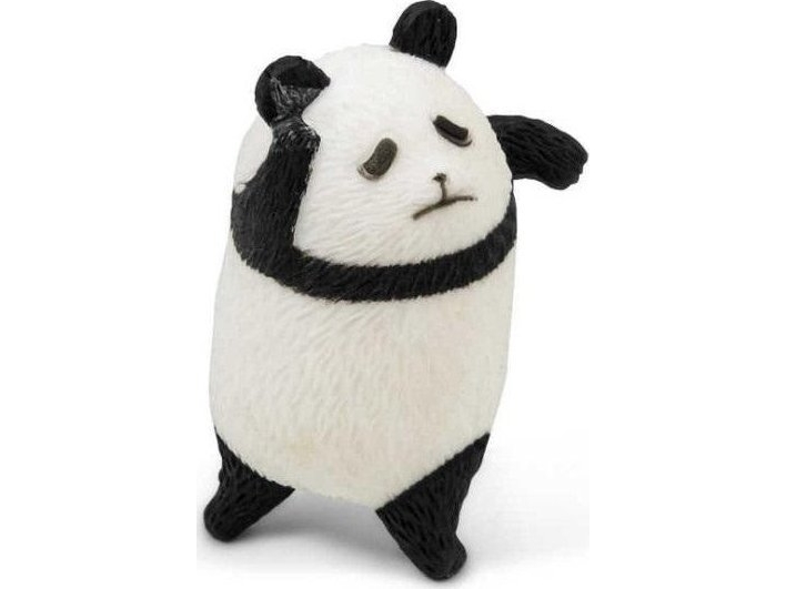 Panda-Kürbis