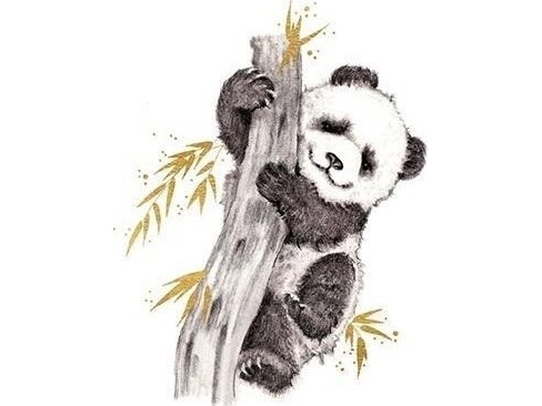 Forgyldt firkantet kort CL3816_BL Panda